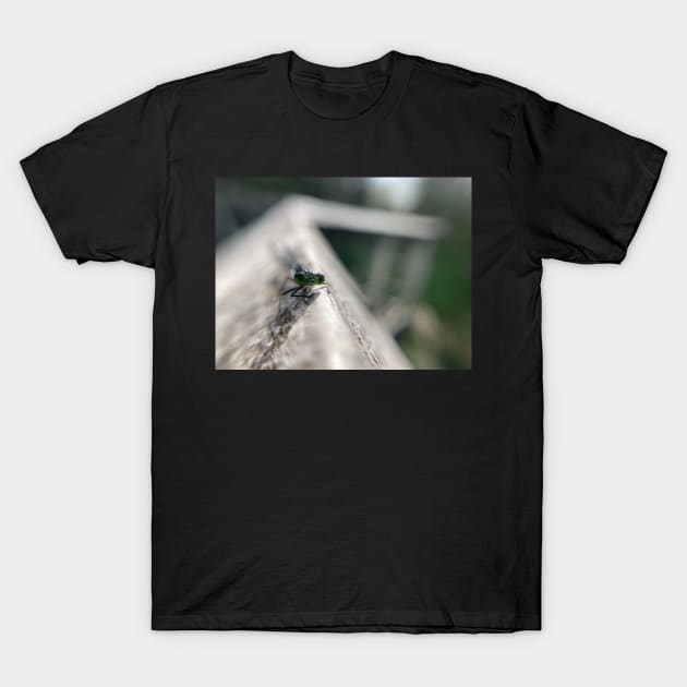 Damselfly up close T-Shirt by SandiLin